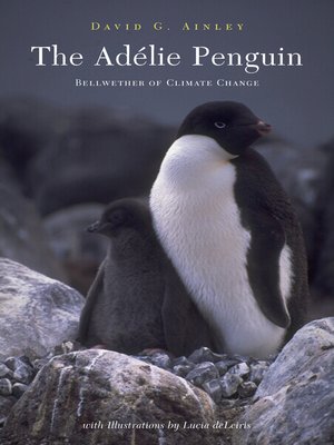 cover image of The Adélie Penguin